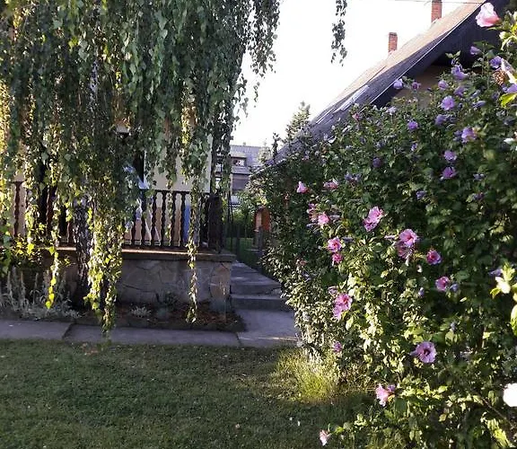 Toldi Apartman 3*